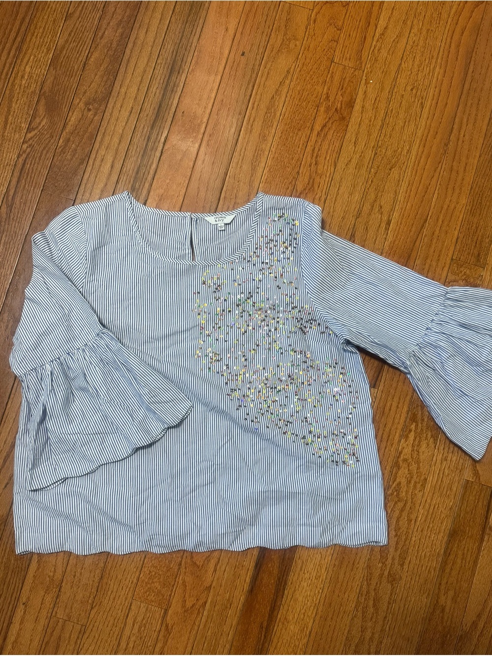 Striped Light Blue Bell-Sleeve Blouse with Floral Embroidery